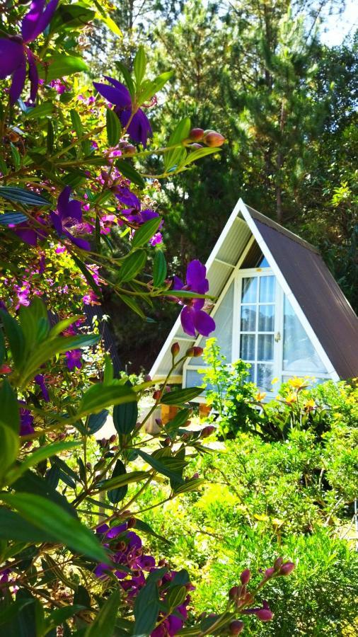 Chalet Tuyet Hoa Hon Bo *