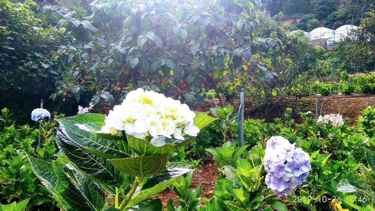 Tuyet Hoa Hon Bo Chalet